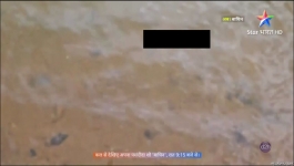 Baghin - 26th February 2024